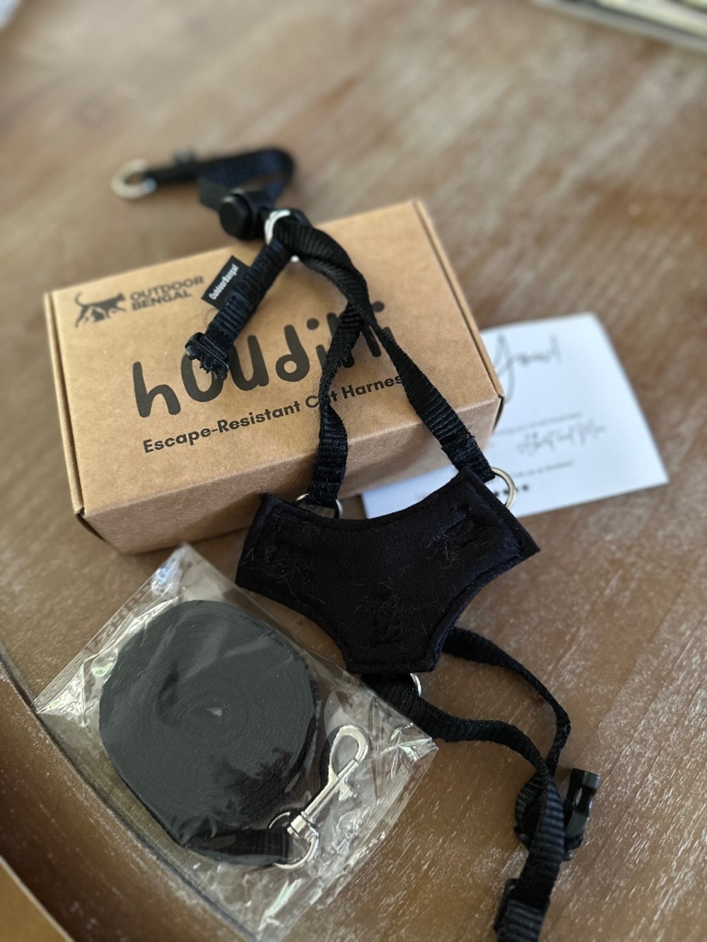 OUTDOOR Bengal Houdini Escape Proof Cat Harness - Black - Small